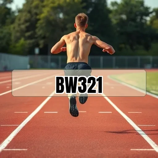 bw321.com Arcade